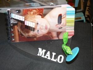 mini tagb (3)