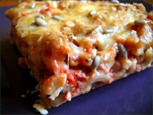 gratin de pâtes à la tomate végétarien gratin de pâtes à la tomate végétarien