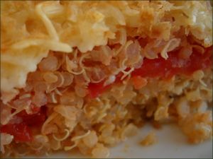 Gratin de quinoa à la tomate vegecarib169