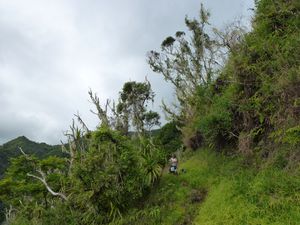 Tahiti-Fare Rau APe-19 juin 2013-Tehani & Metrosideros