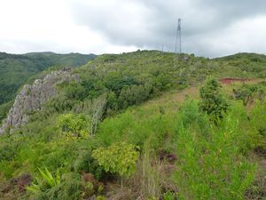 La Réunion-Grande Chaloupe- 04 juin 2014-zone restaurée D