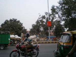 IMGP5193