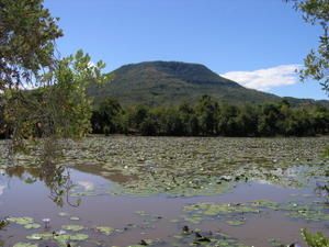 ampomaventy-011.jpg