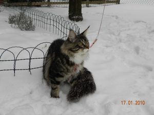 DSCN0760.JPG
