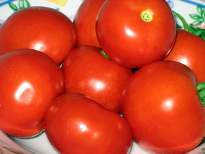 07.08.2010-032.JPG