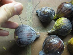 11emes rencontres du gros