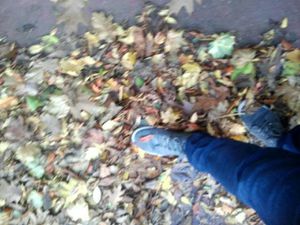 marcher-dans-les-feuilles-mortes.jpg
