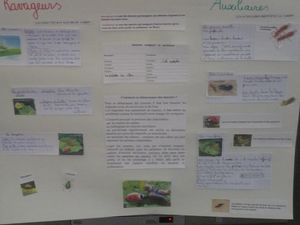 P1110166.JPG