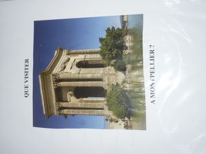 P1110087-copie-1.JPG