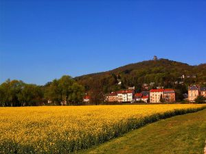 800px-Rapsfeld_und_Mont_St-Quentin.jpg