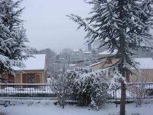 DSC01223