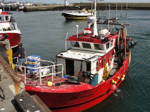 2011.0805-1532-Bateaux-peche-Guilvinec.JPG