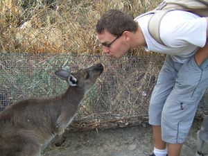 0159.Avec les kangourous - Gorge Wildlife Park