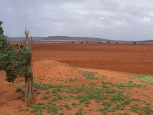 0174.Plaine rouge dans le New South Wales