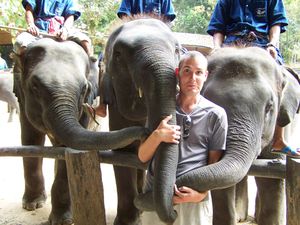 0050.Vincent et ses nouveaux amis - Elephant Camp