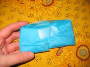 fimo2-0974.JPG