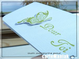 apercu-blog-carte-maniak.jpg