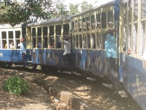 India 5305