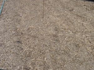 potager-044.jpg