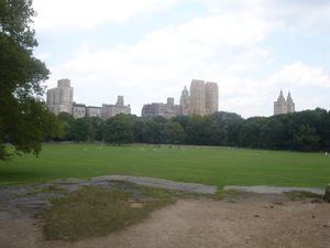 DSC02174