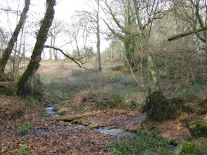 137 rrr Le petit pont et son environnement naturel