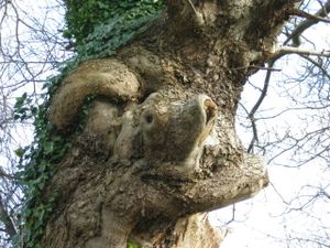 157 r zoom sur l'arbre-animal
