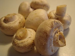 Champignons-de-Paris-gros.jpg