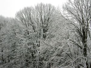 2010-Winter_Balkonblick.jpg
