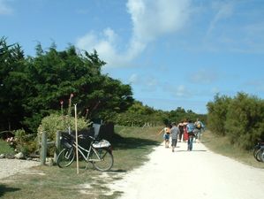 marche-devant.jpg
