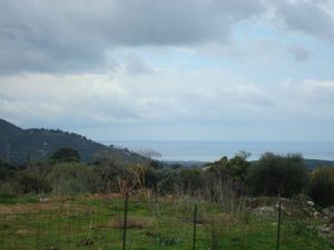DSC01574