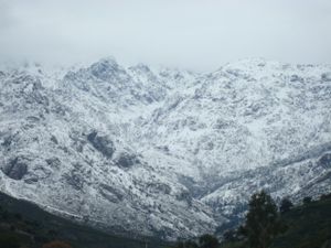 DSC01575