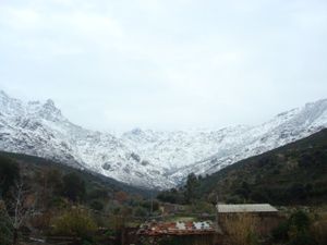 DSC01577