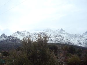 DSC01578