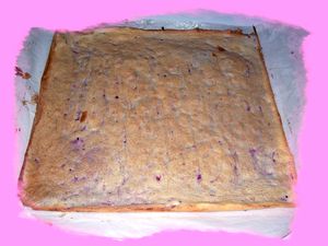 buche 006