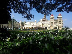 20131107_133432.jpg