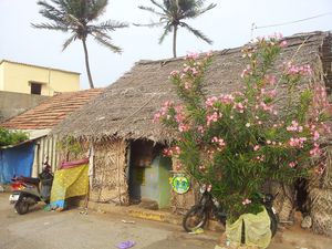 20131112_154931.jpg