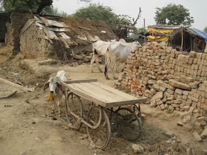 VRINDAVAN