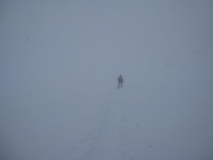 janvier-2010-7175.jpg