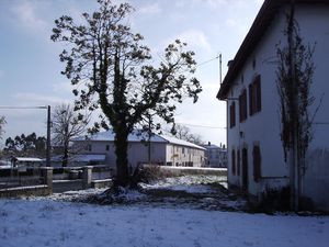 neige8.JPG