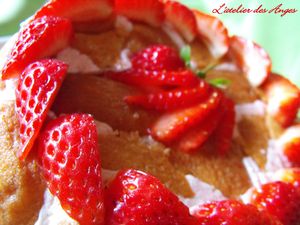 Charlotte fraises 5