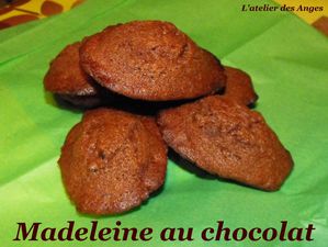 Madeleine chocolat 1
