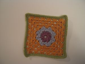 DSCN5036