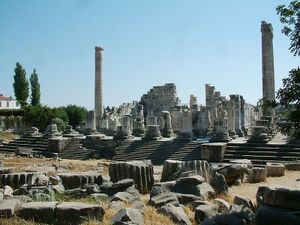 Didim 4