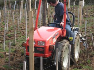 1433 le tracteur Goldoni dans les rangs de vigne
