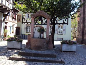 DSC02152.jpg