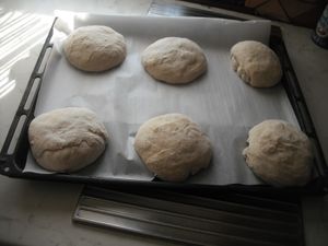DSCF2292