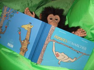 2010 Book Virgile Primates blog