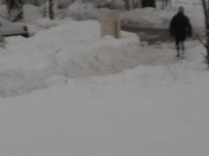 DSCN3437
