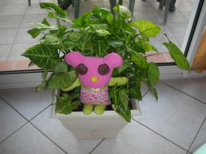 DSCN3858
