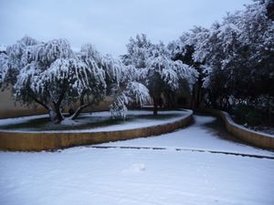 neige 004